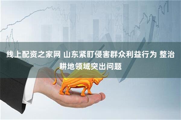 线上配资之家网 山东紧盯侵害群众利益行为 整治耕地领域突出问题